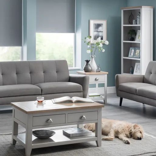 Painted Living Room Furniture